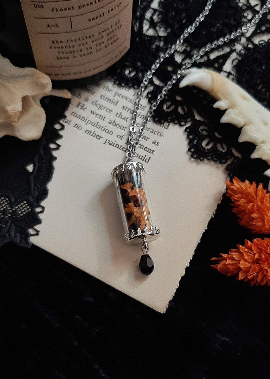 Oddities Victorian Curio vial necklace