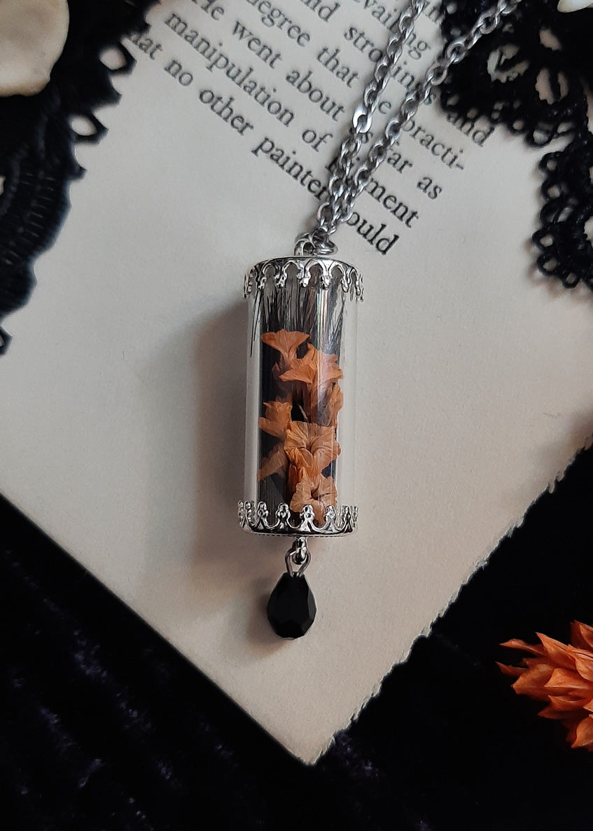 Oddities Victorian Curio vial necklace