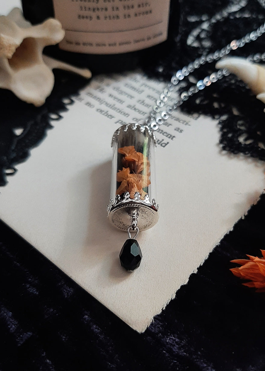 Oddities Victorian Curio vial necklace