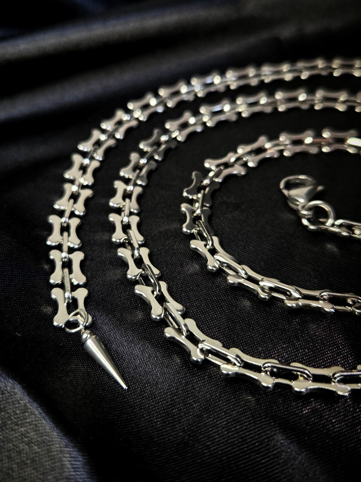 SKELETAL vertebrae belt