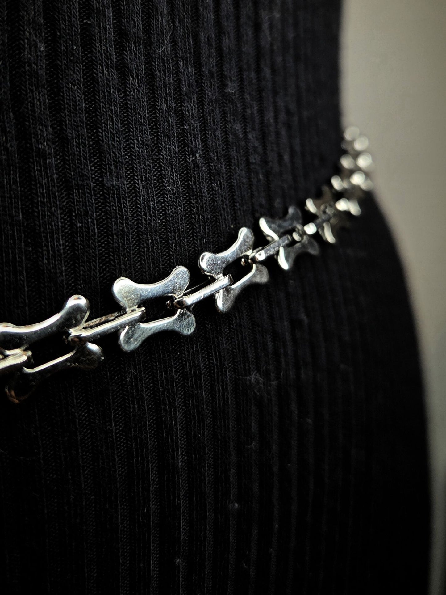 SKELETAL vertebrae belt